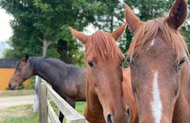 Wee Silverburn - Photo 43