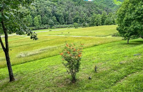 Bear Necessities - Photo 4