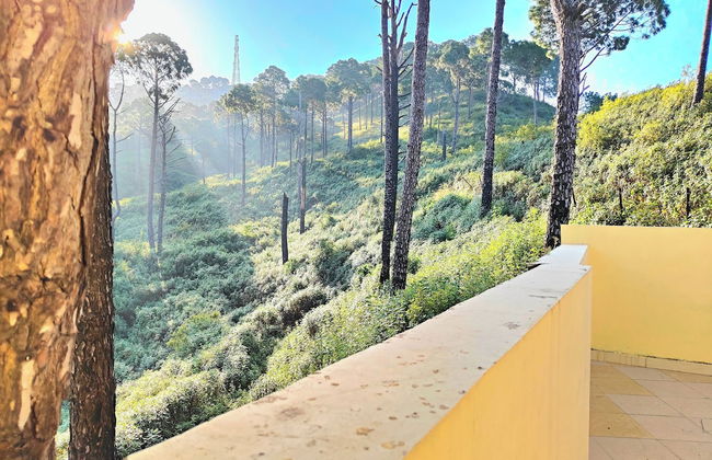 The Cloud Homestay - Foto 26