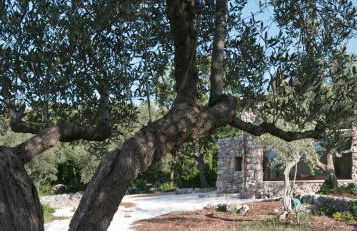 Dimora Casanoja - Foto 13