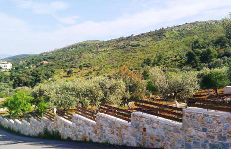 Villa Konaki - Foto 60