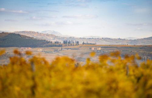 Dimora Buglioni Wine Relais - Foto 31