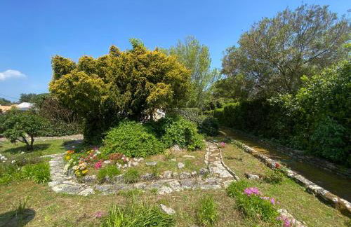 Ile d oléron Vertbois, Villa Bois Piscine et mer - Foto 38