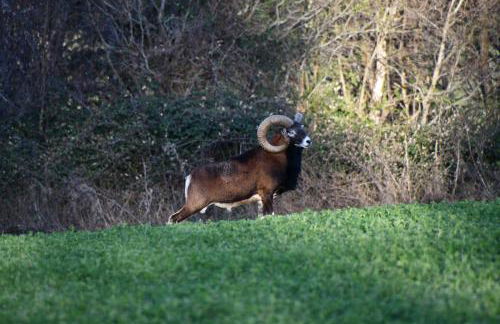 Gîte Domaine du Théron - Photo 18