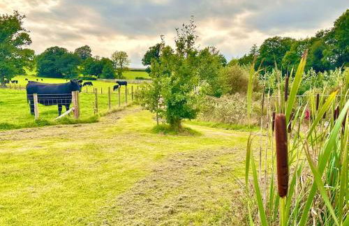 Fox Acre Lodge - Amazing Views - Foto 30