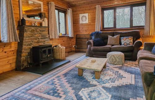 Luxury Wood Lodge with sauna, log burner & private woodland garden - Wnion Wood Lodge - Foto 12