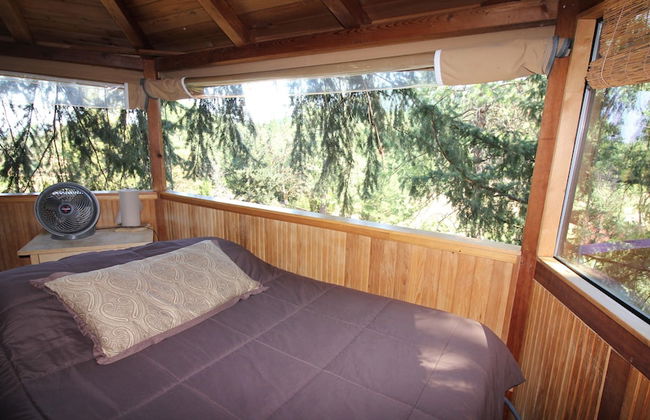 Out 'N' About Treehouse Treesort - Photo 19