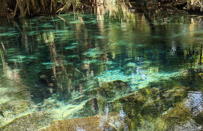 Excursión a las aguas termales de Kikuletwa - Foto 1