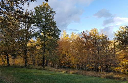 Manoir Périgord Noir/Piscine chauffée/Etang&Forêt - Photo 37