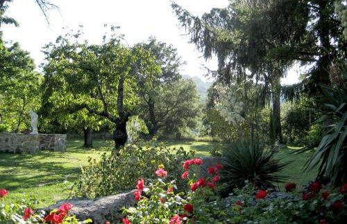 San Processo Agriturismo - Foto 53