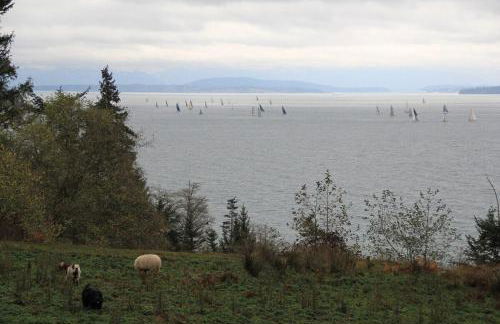 TideAway Farm on Private Island! Escape & Indulge Mother Nature! - Foto 25