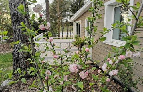 Sosnowy Azyl - Foto 22