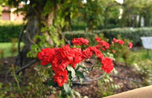 Agriturismo Argaland - Photo 87