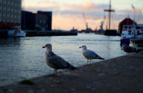 Altstadthaus TimpeTe - Foto 33