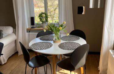 Apartamenty sudeckie nad zalewem I-IV między Karpaczem a Szklarską Porębą w Karkonoszach - Foto 34