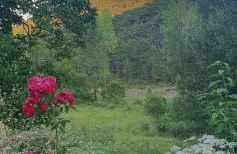 Cortijo de las cañadas - Foto 17