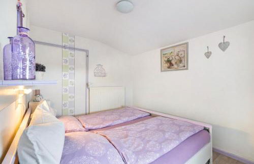 Hundeurlaub bei Karin - Foto 14