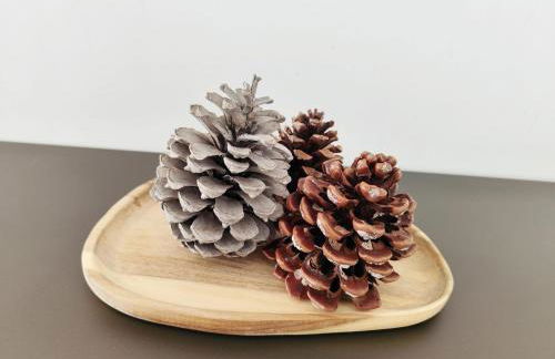 Villa ARIANA, 120m2, Climatisée, Piscine - Foto 42