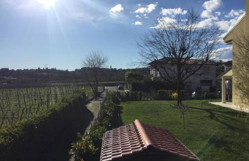 Uno sguardo sulla Valpolicella - Foto 1