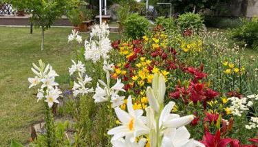 Turul -Kuća za odmor- - Foto 4, Garden