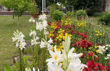 Turul -Kuća za odmor- - Foto 4