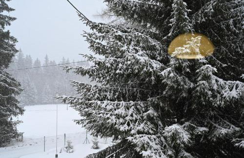 Strażnica Pod Lasem - Foto 68