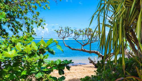 Anini Ohana Hale TVNC#4255 - Foto 3