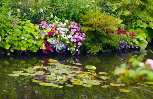 Le Clos de l'Eglise - Blanche - Foto 14