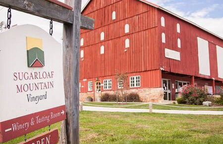 Studio apartment at Sugarloaf Log House - Photo 13