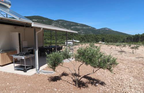 Robinson olive tree huts - Photo 23