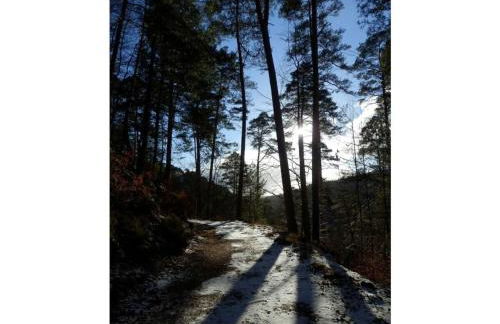 Holiday apartment Bambi in the house at the linden - Foto 15