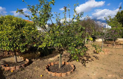 Casa Renta - Foto 22