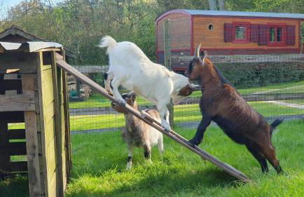 La Fermette des Ramolleux - Foto 17