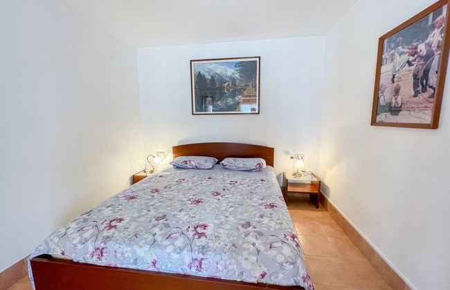 Sofia (DMA333) - Foto 10