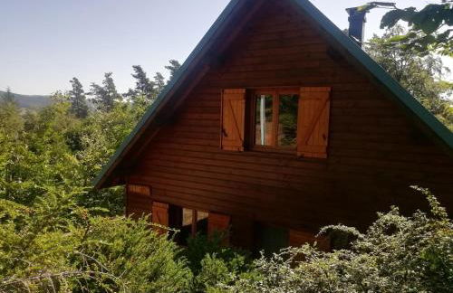 Gite Le Chalet SaintAnthème / Prabouré - Foto 35