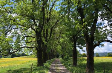 Ferienhaus Mathilda Eins - Foto 27