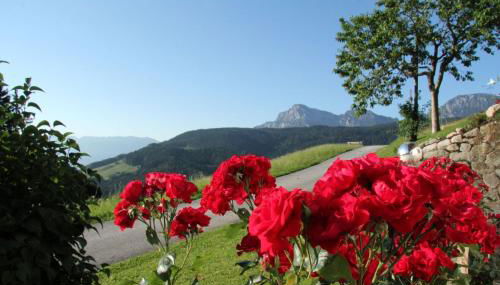 Haus Freynend - Foto 5