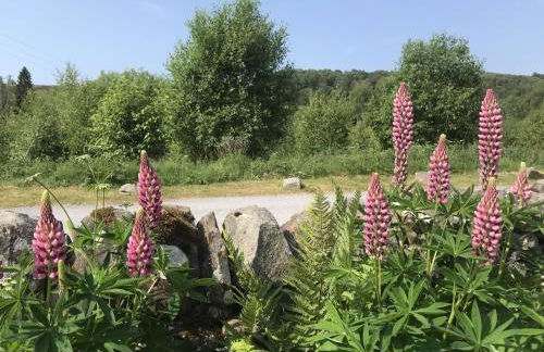 The Struan Inn Self Catering Lodge - Foto 86