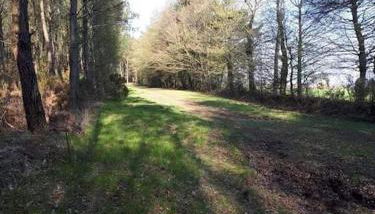 Mobil home au coeur de Brocéliande - Foto 3