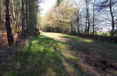 Mobil home au coeur de Brocéliande - Foto 3