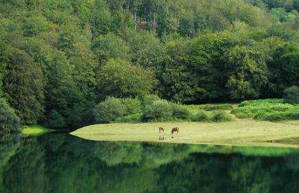 Amplia casa rural ideal para familias y grupos - Foto 45