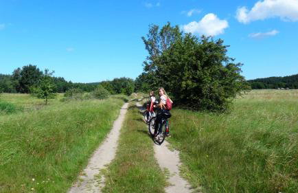 Apartamenty Pod Jesionem - Foto 16