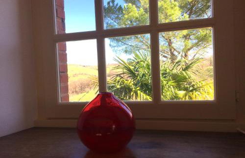 Domaine du Cammazet - Foto 13