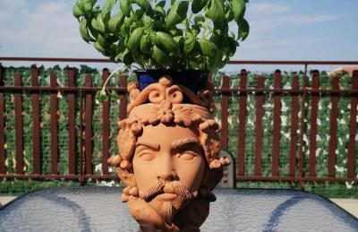 Il Sole dell'Etna - Foto 16