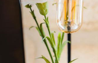 Bohème eyes - Bordeauxlidays - Foto 12