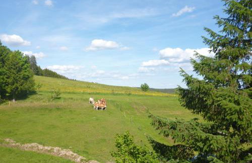 Ferienwohnung Schwarzwald-Alpenblick - Foto 15