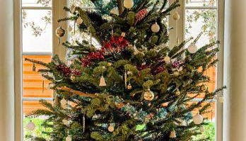 Villa Georgia - Elégante villa anglo-normande avec jardin - Plage à 100 m - Foto 5