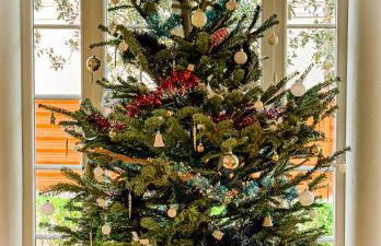 Villa Georgia - Elégante villa anglo-normande avec jardin - Plage à 100 m - Foto 5