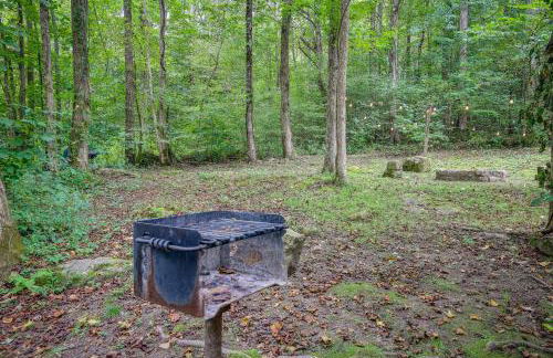 Riverfront Briceville Cabin with Patio and Fire Pit! - Foto 21