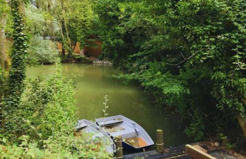 Bears House - Foto 27